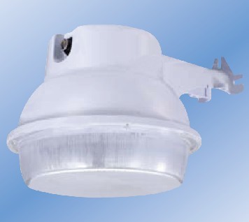 LED Security Light 20w