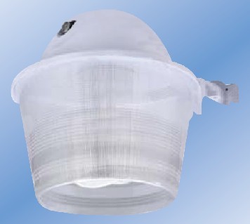 CFL Security Light 45w